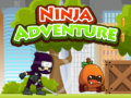 Játék Ninja Adventure