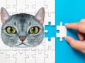 Játék Abyssinian Puzzle Challenge