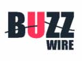 Játék Buzz Wire