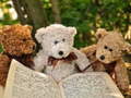 Játék Cuddly Three Teddy Jigsaw