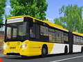 Játék Public Transport Simulator 2021
