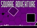 Játék Square Adventure