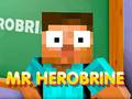 Játék Mr Herobrine