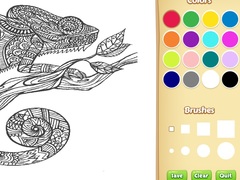 Játék Adult Animal Coloring Book for Kids
