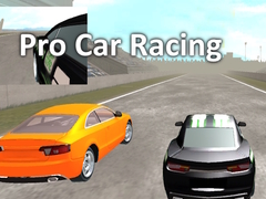 Játék Pro Car Racing