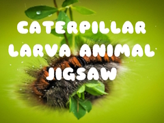 Játék Caterpillar Larva Animal Jigsaw