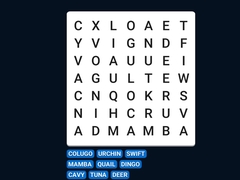 Játék Word Search Word Puzzle