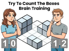 Játék Try To Count The Boxes Brain Training