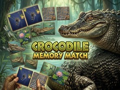 Játék Crocodile Memory Match